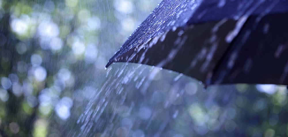 umbrella-crop