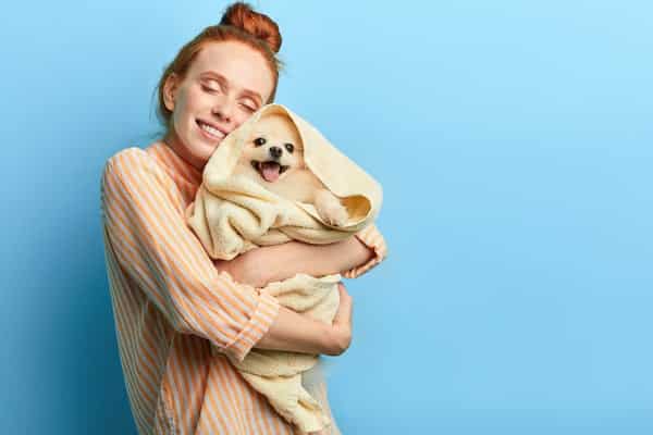 best insurance for pet grooming