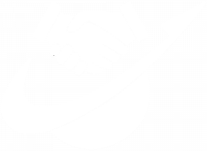 logo-Florida-Surety-Partners-white