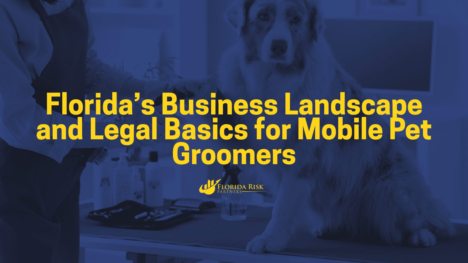 Curated visual reference: Picture Idea: Florida S Business Landscape And Legal Basics For Mobile Pet