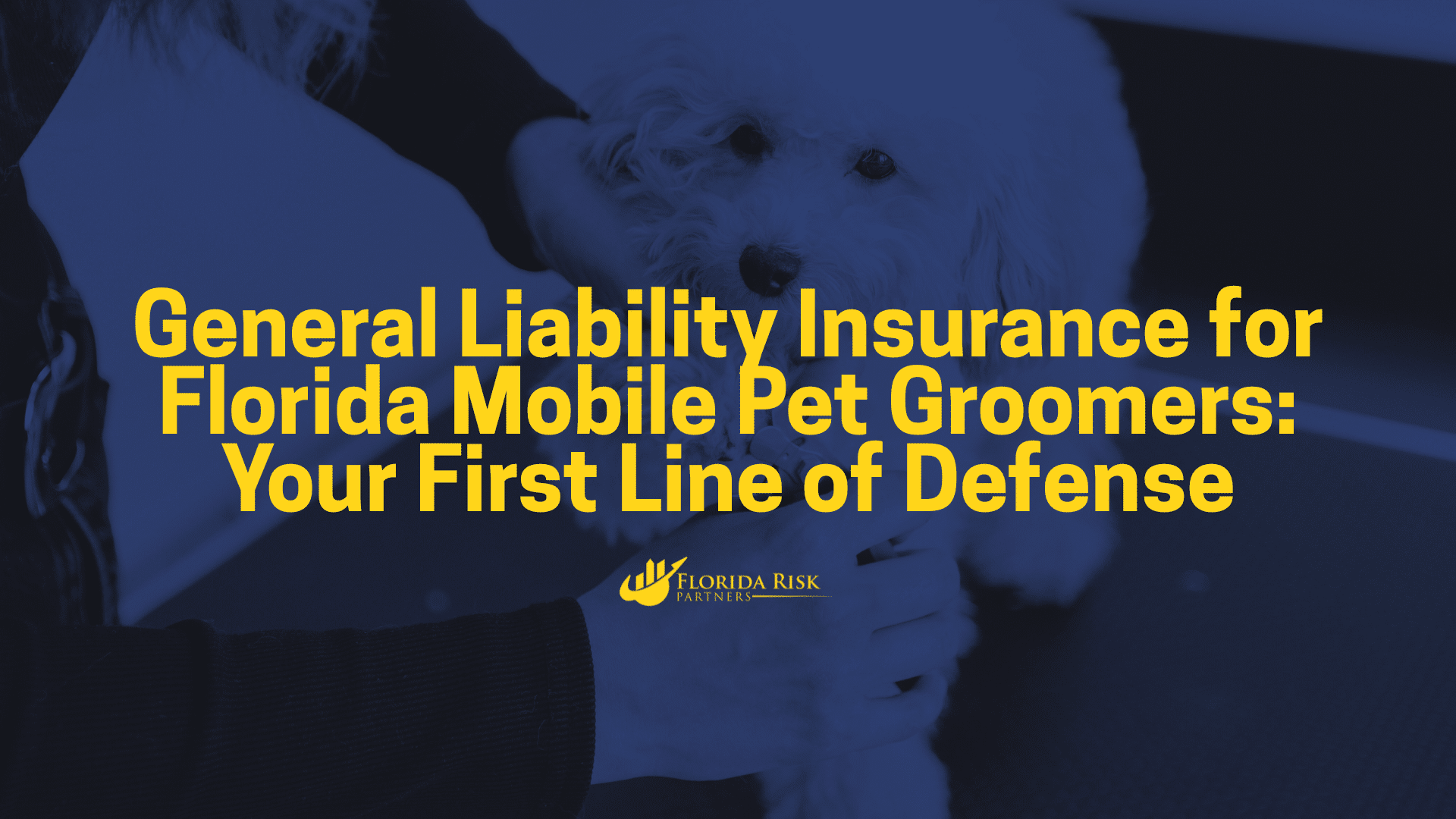 Dog Grooming Business Plan: How-To Guide & Best Practices - Mobile Pet Grooming Business Real Estate Partnerships